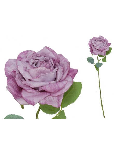 VARA ROSA DRIED - 51 CM (VIOLETA)