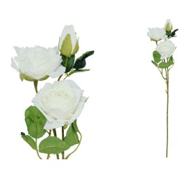 VARA ROSA DRIED X 3 - 63 CM (BLANCO)