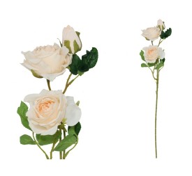 VARA ROSA DRIED X 3 - 63 CM (BEIGE)