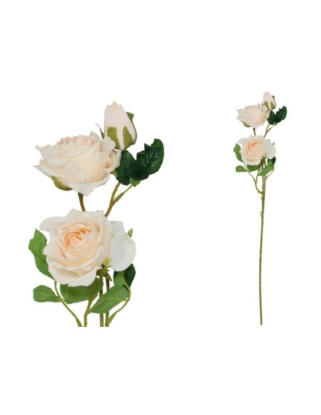 VARA ROSA DRIED X 3 - 63 CM (BEIGE)