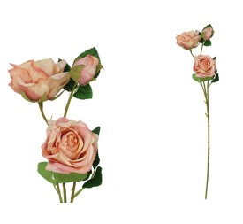 VARA ROSA DRIED X 3 -  63 CM (TE)