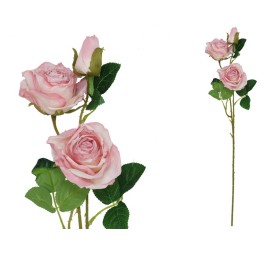 VARA ROSA DRIED X 3 -  63 CM (ROSA)