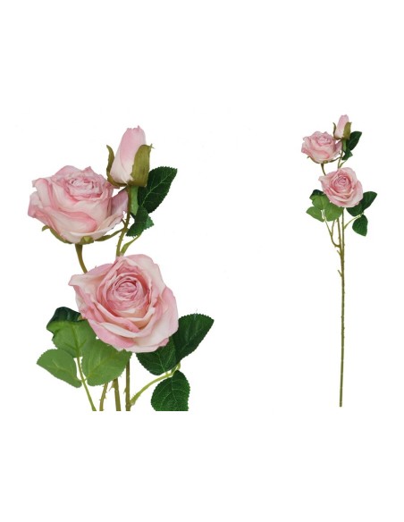 VARA ROSA DRIED X 3 -  63 CM (ROSA)