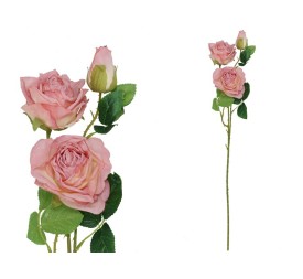 VARA ROSA DRIED X 3 -  63 CM (FUCSIA)