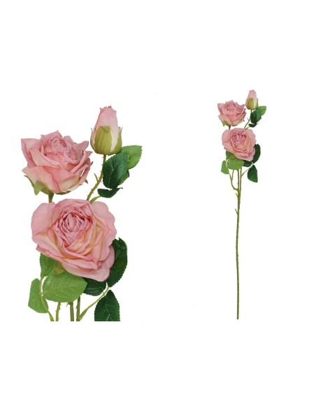 VARA ROSA DRIED X 3 -  63 CM (FUCSIA)