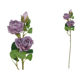 VARA ROSA DRIED X 3 -  63 CM (VIOLETA)