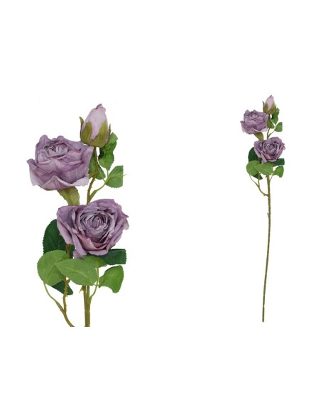 VARA ROSA DRIED X 3 -  63 CM (VIOLETA)