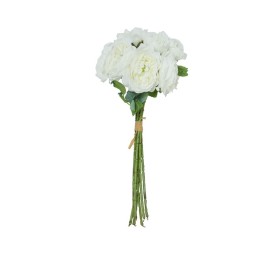 ATADO PEONIA DRIED X 7 - 50 CM (BLANCO)