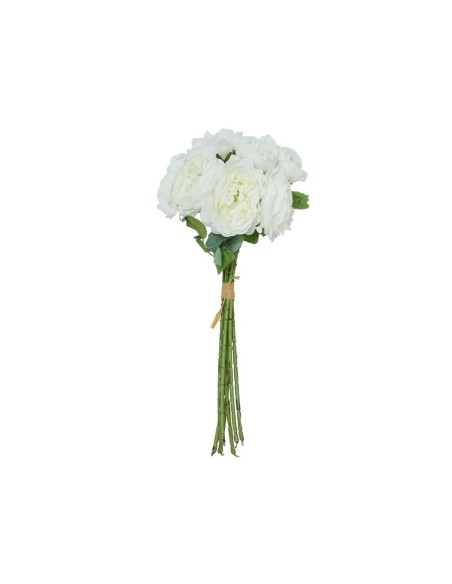 ATADO PEONIA DRIED X 7 - 50 CM (BLANCO)