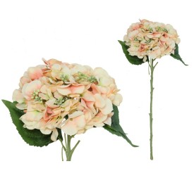 VARA HORTENSIA TELLER - 53 CM (TE)