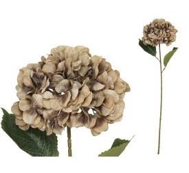 VARA HORTENSIA PRINTED (A) -77 CM (OCRE)