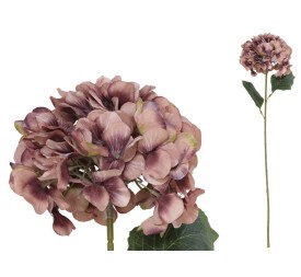 VARA HORTENSIA PRINTED (A) -77CM (CORAL)