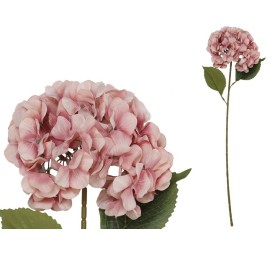 VARA HORTENSIA PRINTED (A) -77 CM (ROSA)