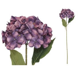 VARA HORTENSIA PRINTED (A) -77 CM (VIO)