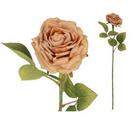 VARA ROSA DRIED - 50 CM (OCRE)