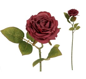 VARA ROSA DRIED - 50 CM (ROJO) REF5705