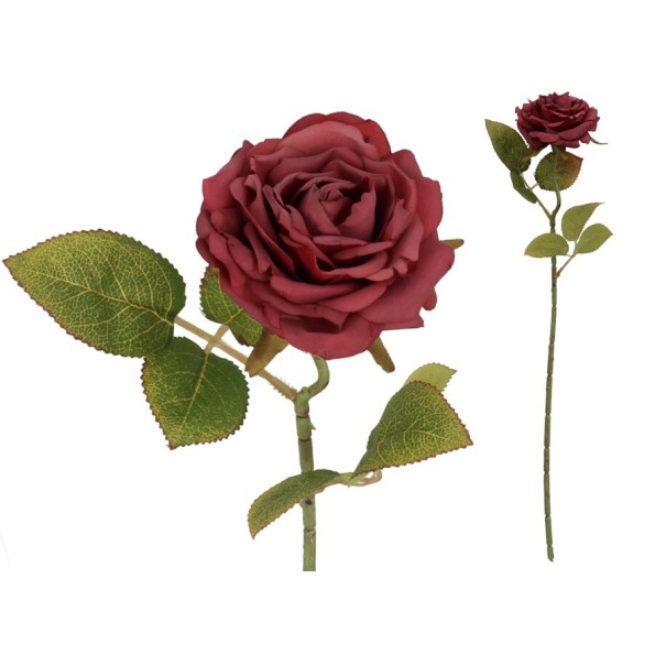 VARA ROSA DRIED - 50 CM (ROJO) REF5705