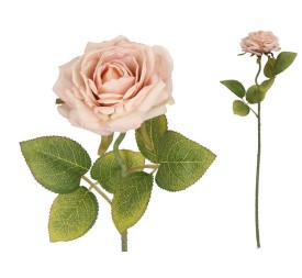 VARA ROSA DRIED - 50 CM (ROSA)