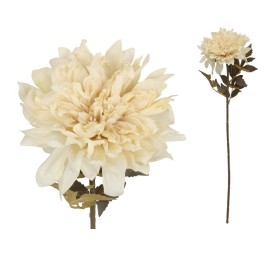 VARA DALIA DRIED - 54 CM (CREMA)