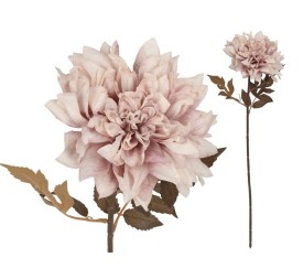 VARA DALIA DRIED - 54 CM (MALVA)