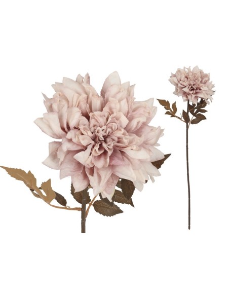 VARA DALIA DRIED - 54 CM (MALVA)