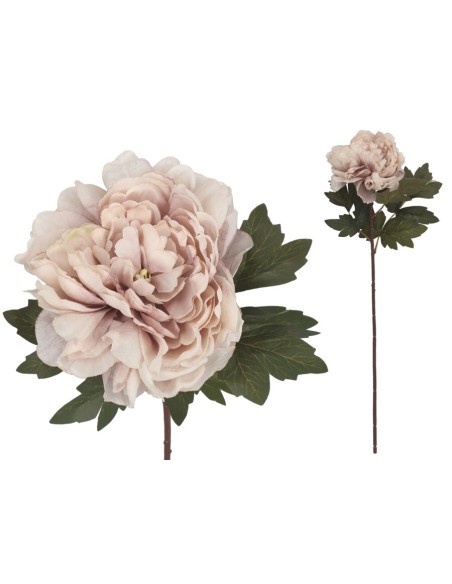 VARA PEONIA DRIED - 57 CM (MALVA)