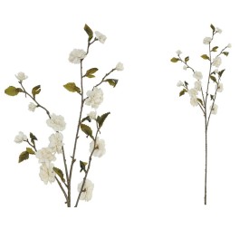 VARA CHERRY BLOSSOM DRIED -90 CM (CREMA)