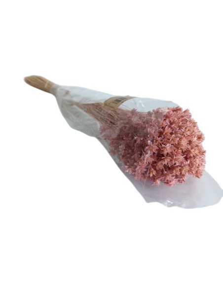 HILL FLOWER 45 cms. ROSA (46) REF5365