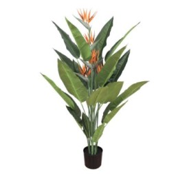 STERLIZIA 1,50 MTS (7099-09)