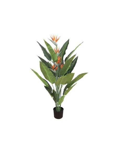 STERLIZIA 1,50 MTS (7099-09)