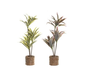 PLANTA PE FIBRA 30X30X75 2 SURT.