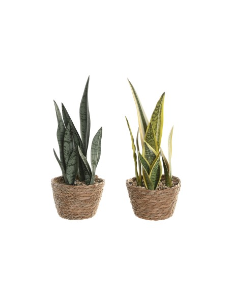 PLANTA PE FIBRA 13X13X35 SANSEVIERA 2 SURT.