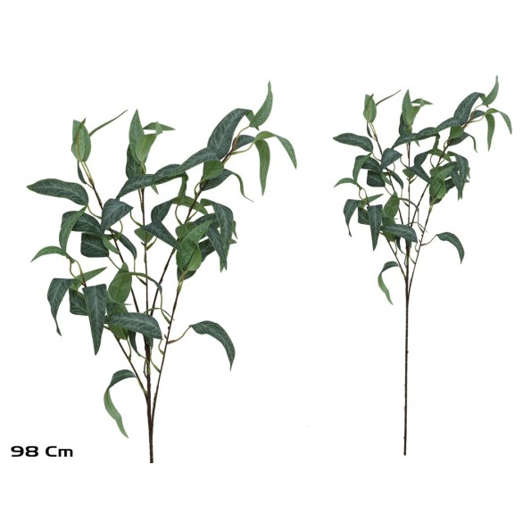 VARA EUCALIPTO X 40 - 98 CM (VERDE)