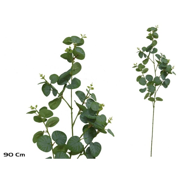 VARA EUCALIPTO X 60 - 90 CM (VERDE)