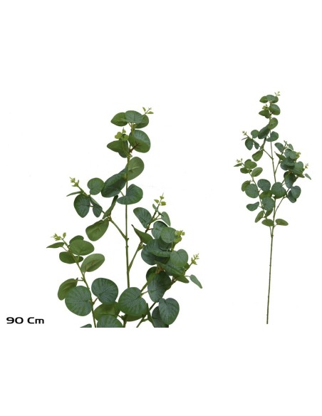 VARA EUCALIPTO X 60 - 90 CM (VERDE)