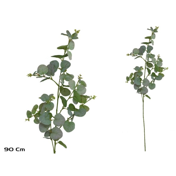 VARA EUCALIPTO X 60 - 90 CM (VERDE/RS)