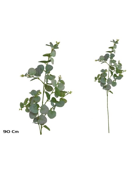 VARA EUCALIPTO X 60 - 90 CM (VERDE/RS)