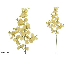 VARA EUCALIPTO X 60 - 90 CM (BEIGE)