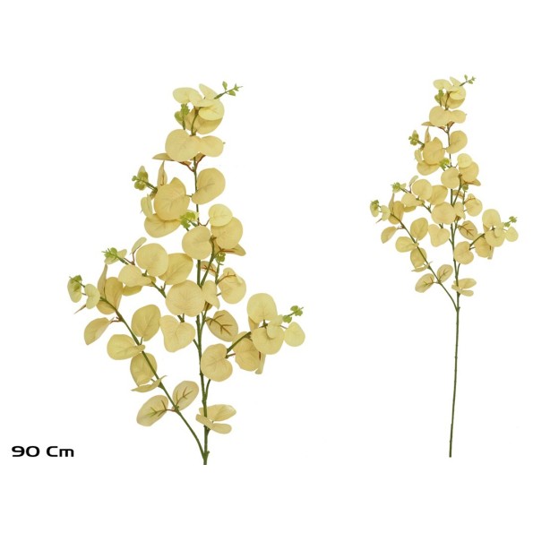 VARA EUCALIPTO X 60 - 90 CM (BEIGE)