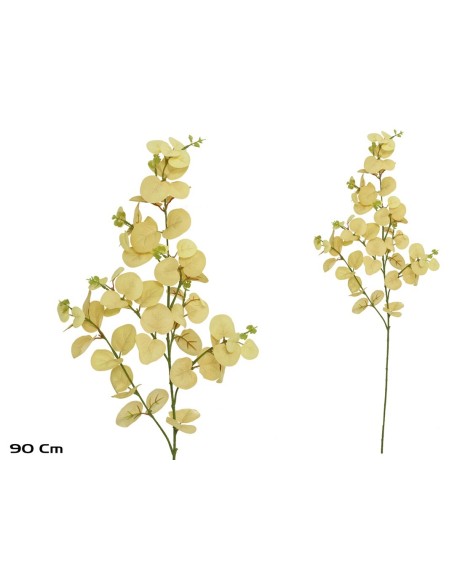 VARA EUCALIPTO X 60 - 90 CM (BEIGE)