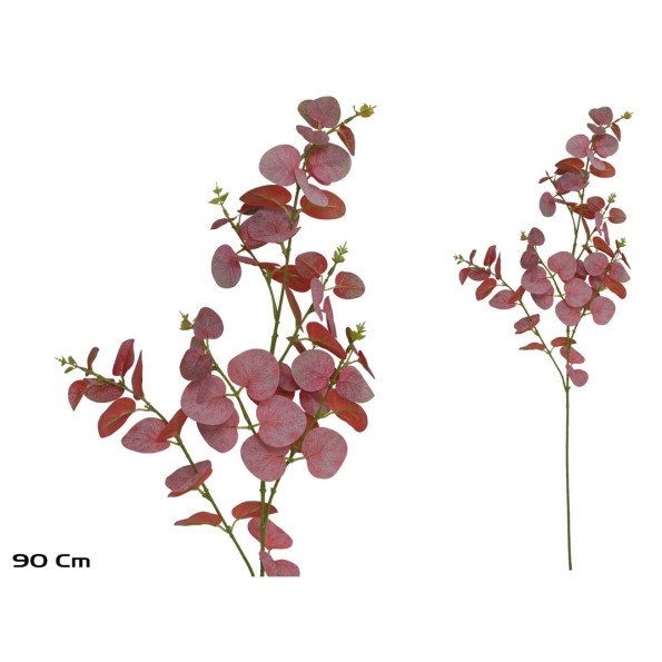 VARA EUCALIPTO X 60 - 90 CM (ROJO)