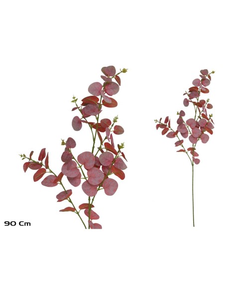 VARA EUCALIPTO X 60 - 90 CM (ROJO)