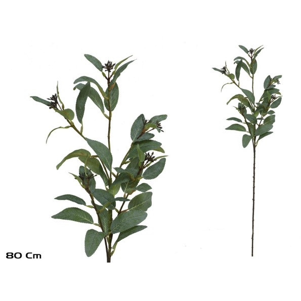 VARA EUCALIPTO X 39 - 80 CM (VERDE)