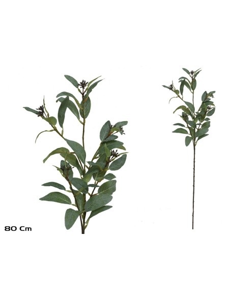 VARA EUCALIPTO X 39 - 80 CM (VERDE)