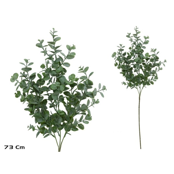 VARA EUCALIPTO X 32 - 73 CM (VERDE)