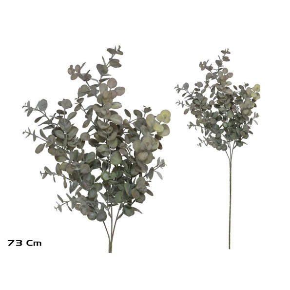 VARA EUCALIPTO X 32 - 73 CM (MARRON)