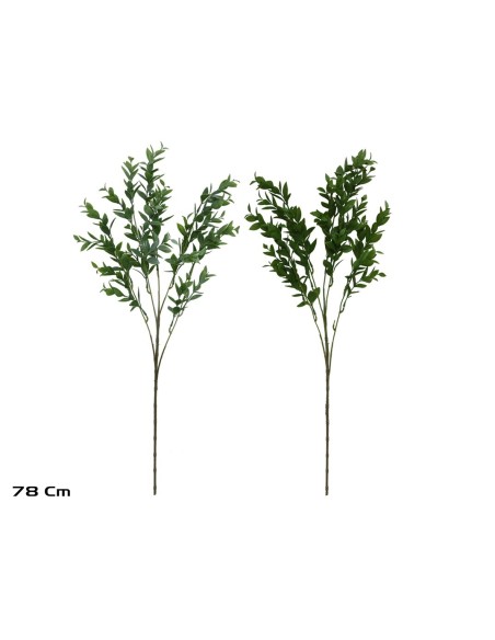 VARA TEA LEAF X 5 X 25 - 78 CM (S)