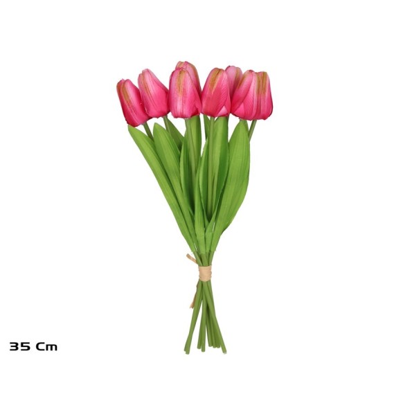 ATADO TULIPANES X 8 -35 CM (FUCSIA)