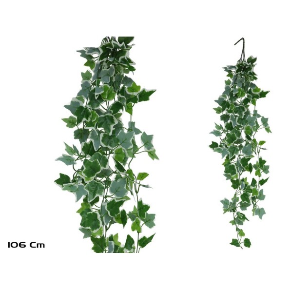 COLGANTE HIEDRA HOLANDESA X 168LVS-106CM