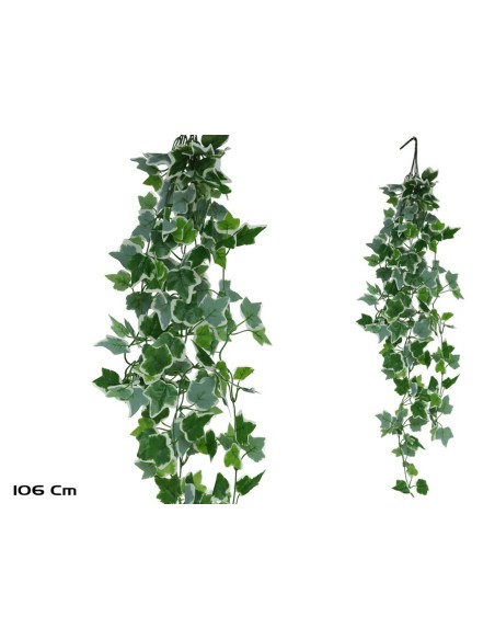 COLGANTE HIEDRA HOLANDESA X 168LVS-106CM